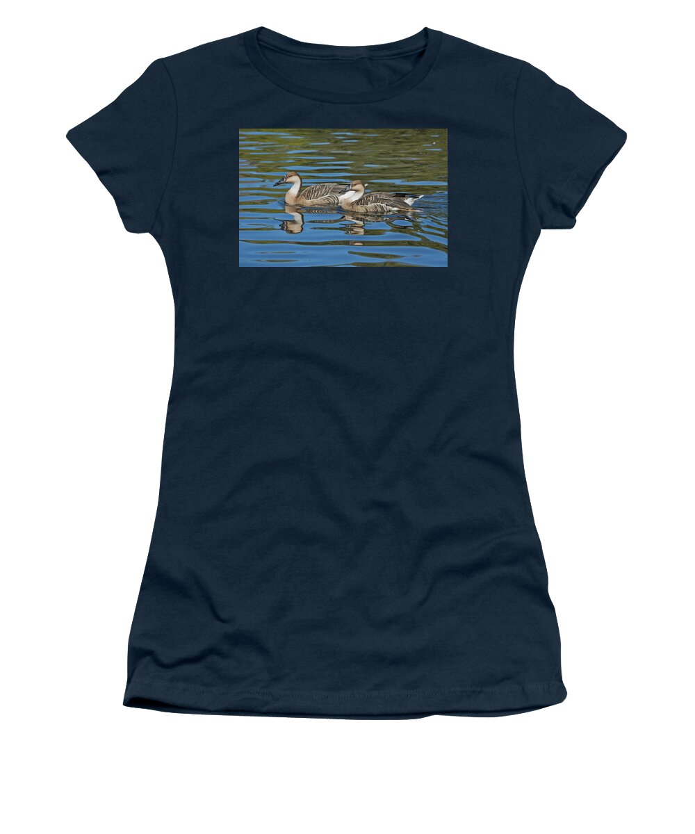 Anatidae Women's T-Shirt featuring the photograph Swan Geese by Anthony Mercieca