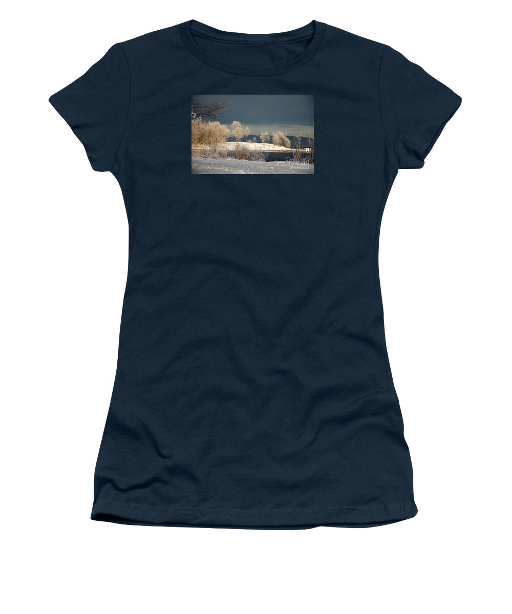 Swans Women's T-Shirt featuring the photograph Swans on a Frosty Day by Randi Grace Nilsberg