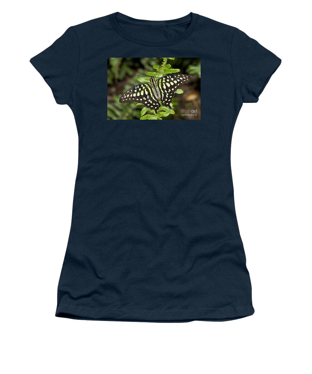 Tailed Jay Butterfly Women's T-Shirt featuring the photograph Tailed Jay Butterfly by Bryan Keil