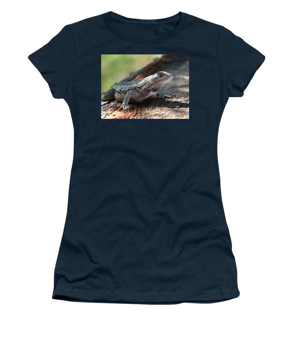 Horn Toad Lizard Women's T-Shirt featuring the photograph Texas Lizard by John Johnson