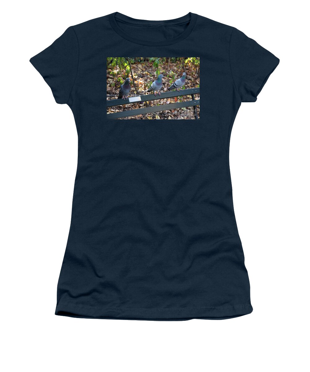 Birds Women's T-Shirt featuring the photograph The Gals Chat While Harry Sulks by Rory Siegel