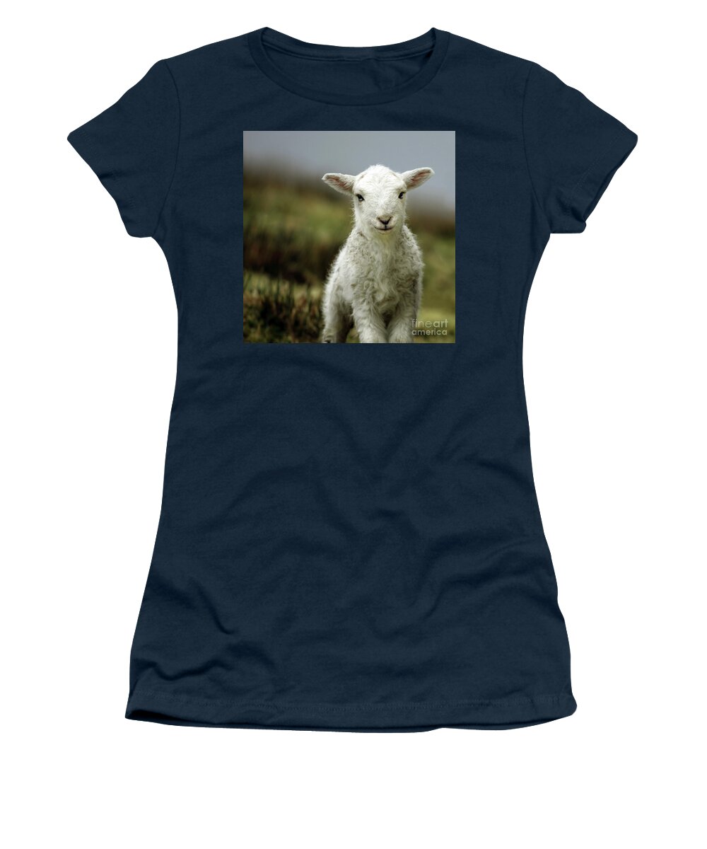 #faatoppicks Women's T-Shirt featuring the photograph The Lamb by Ang El