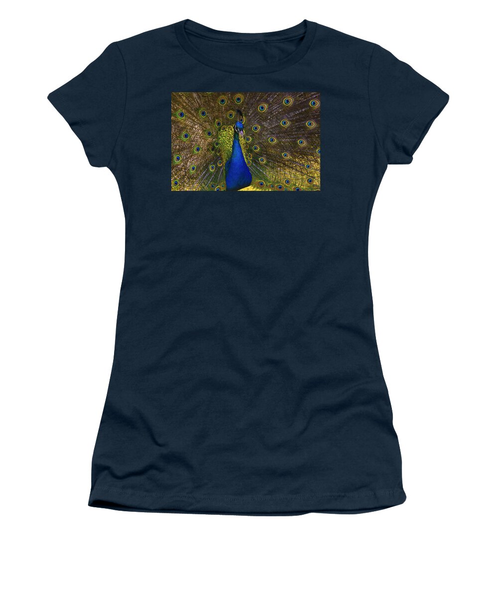 Peacock Women's T-Shirt featuring the photograph The Peacock by Anthony Davey