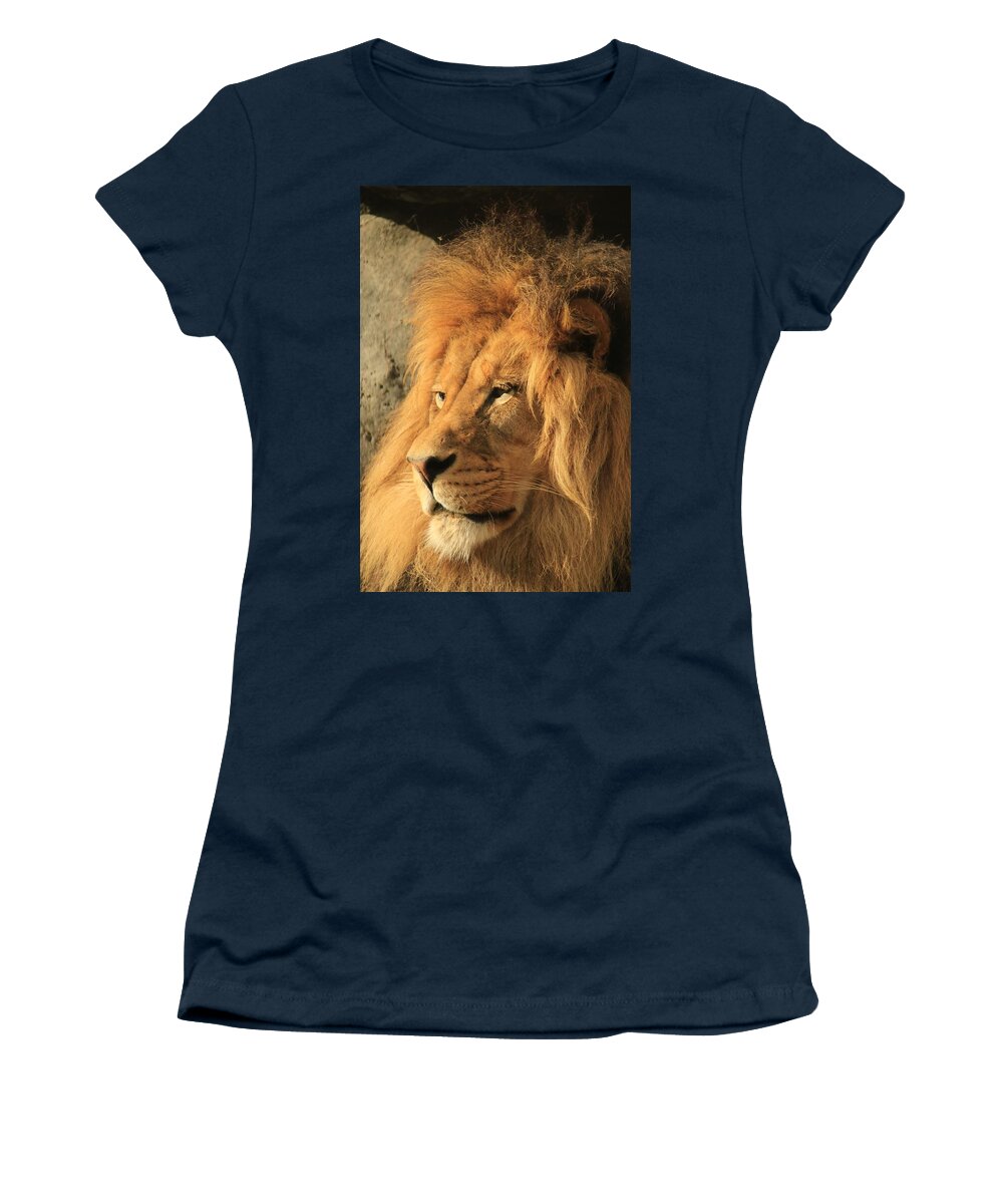 Lion Women's T-Shirt featuring the photograph The White Beard by Laddie Halupa