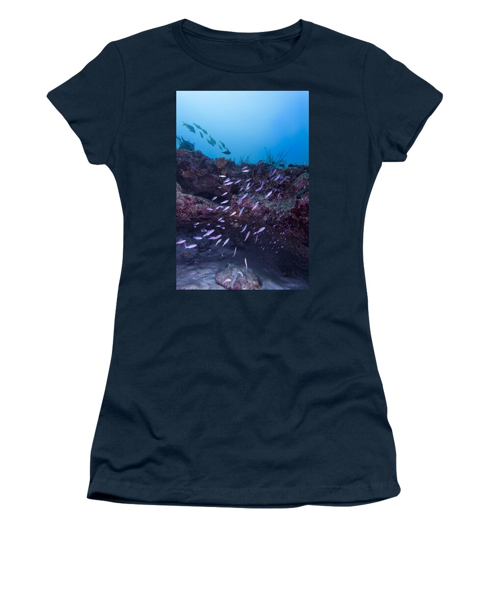 Wrasse Women's T-Shirt featuring the photograph The World Of Purple by Sandra Edwards