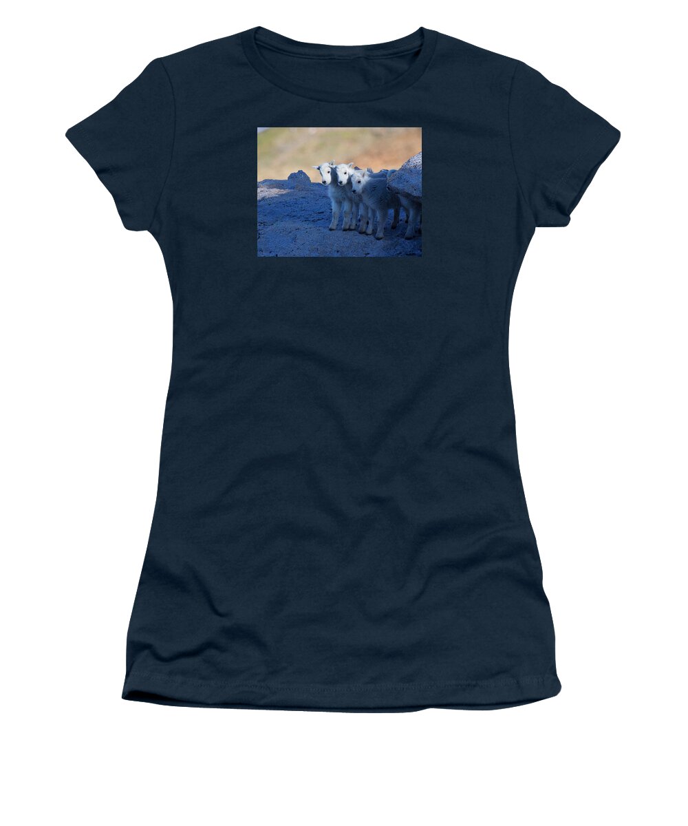 Mountain Goats; Posing; Group Photo; Baby Goat; Nature; Colorado; Crowd; Baby Goat; Mountain Goat Baby; Happy; Joy; Nature; Brothers Women's T-Shirt featuring the photograph Three and One More by Jim Garrison
