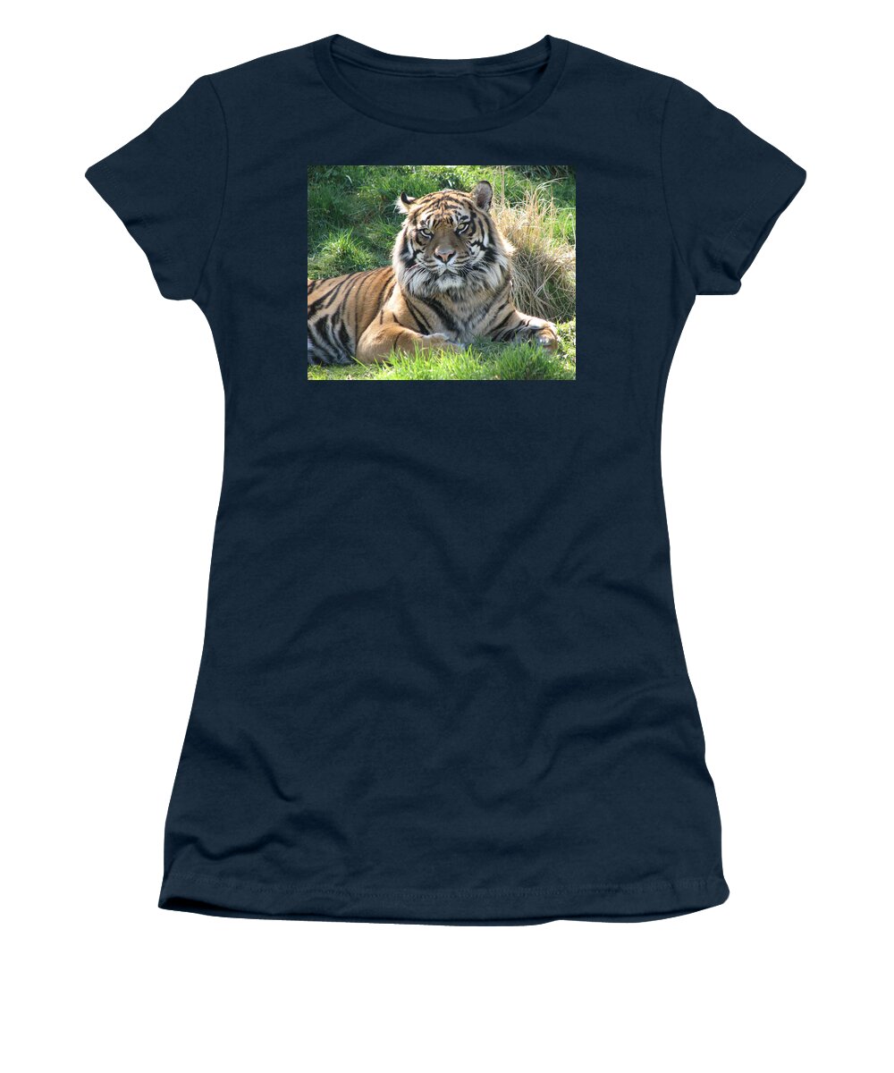 Tiger Women's T-Shirt featuring the photograph Tiger 2 by Helaine Cummins