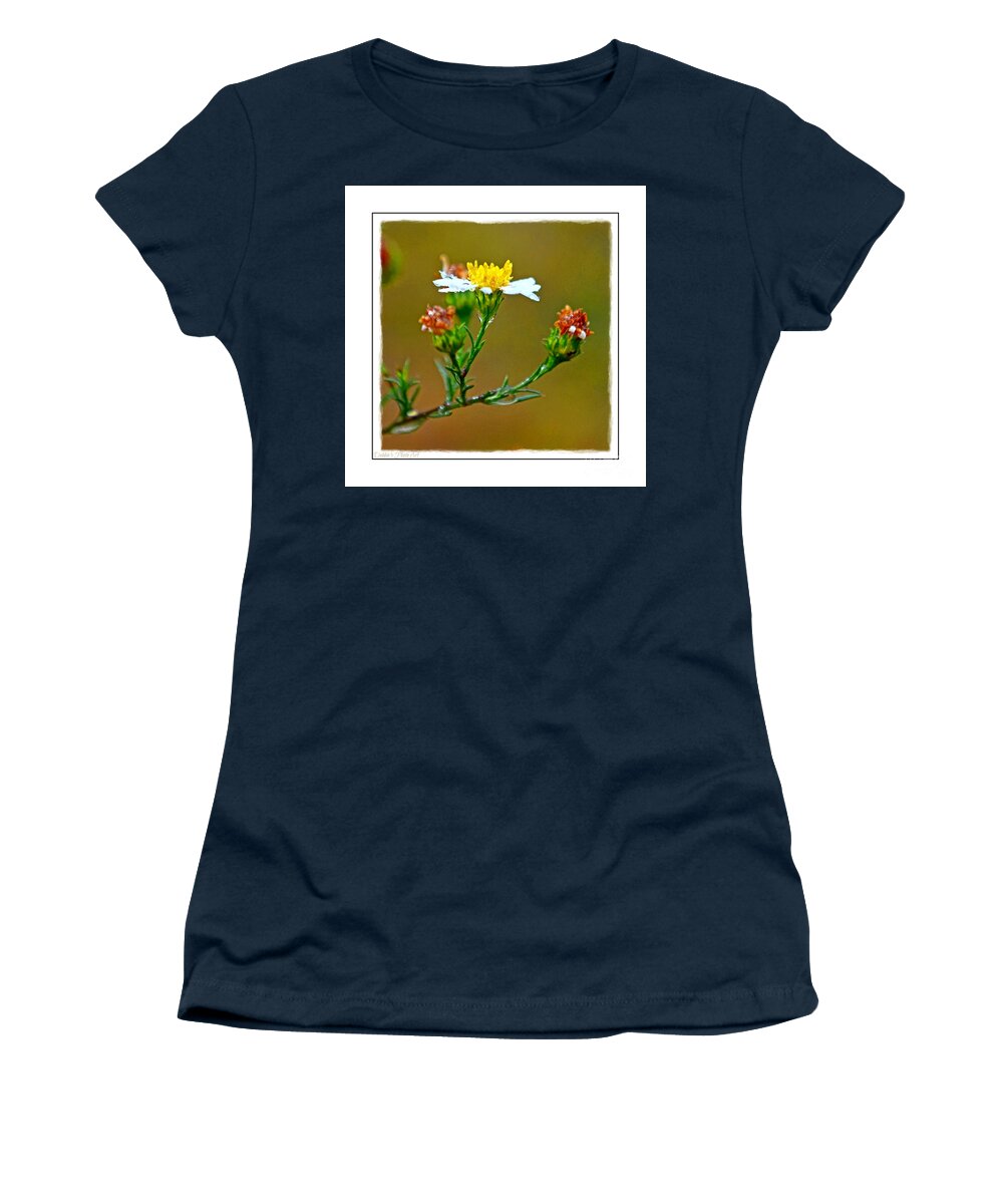 Tiny Women's T-Shirt featuring the photograph Tiny Wildflowers 1 - White frame by Debbie Portwood