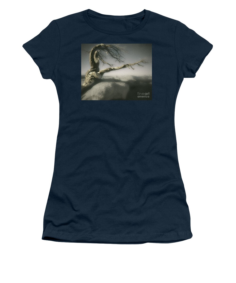 Usa Women's T-Shirt featuring the photograph Tree of Ages by Edmund Nagele FRPS