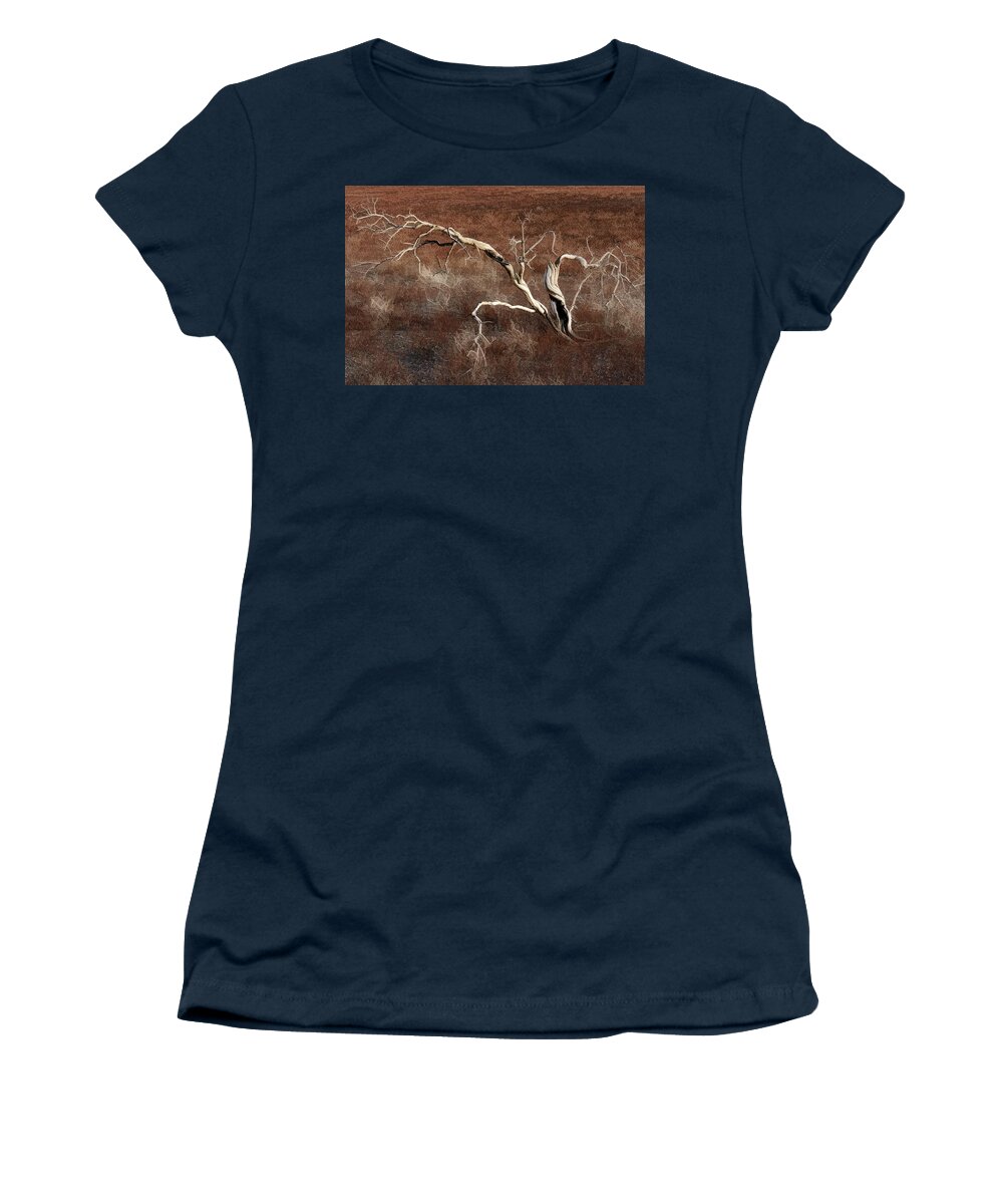 Tree Skeleton Women's T-Shirt featuring the photograph Tree Skeleton by Wes and Dotty Weber