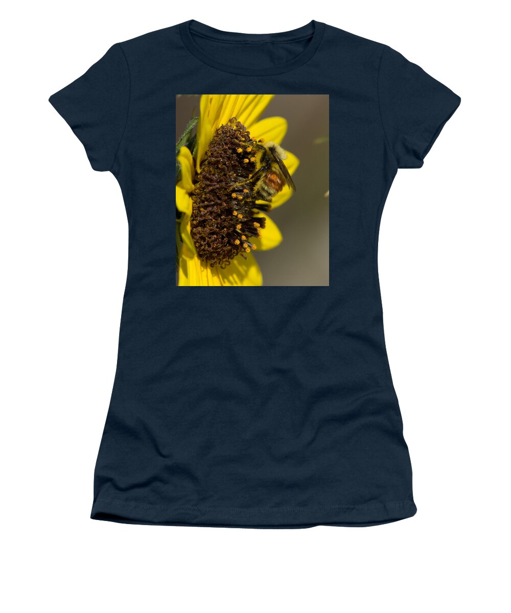 Sunflower Women's T-Shirt featuring the photograph Tricolored Bumble Bee by Ernest Echols
