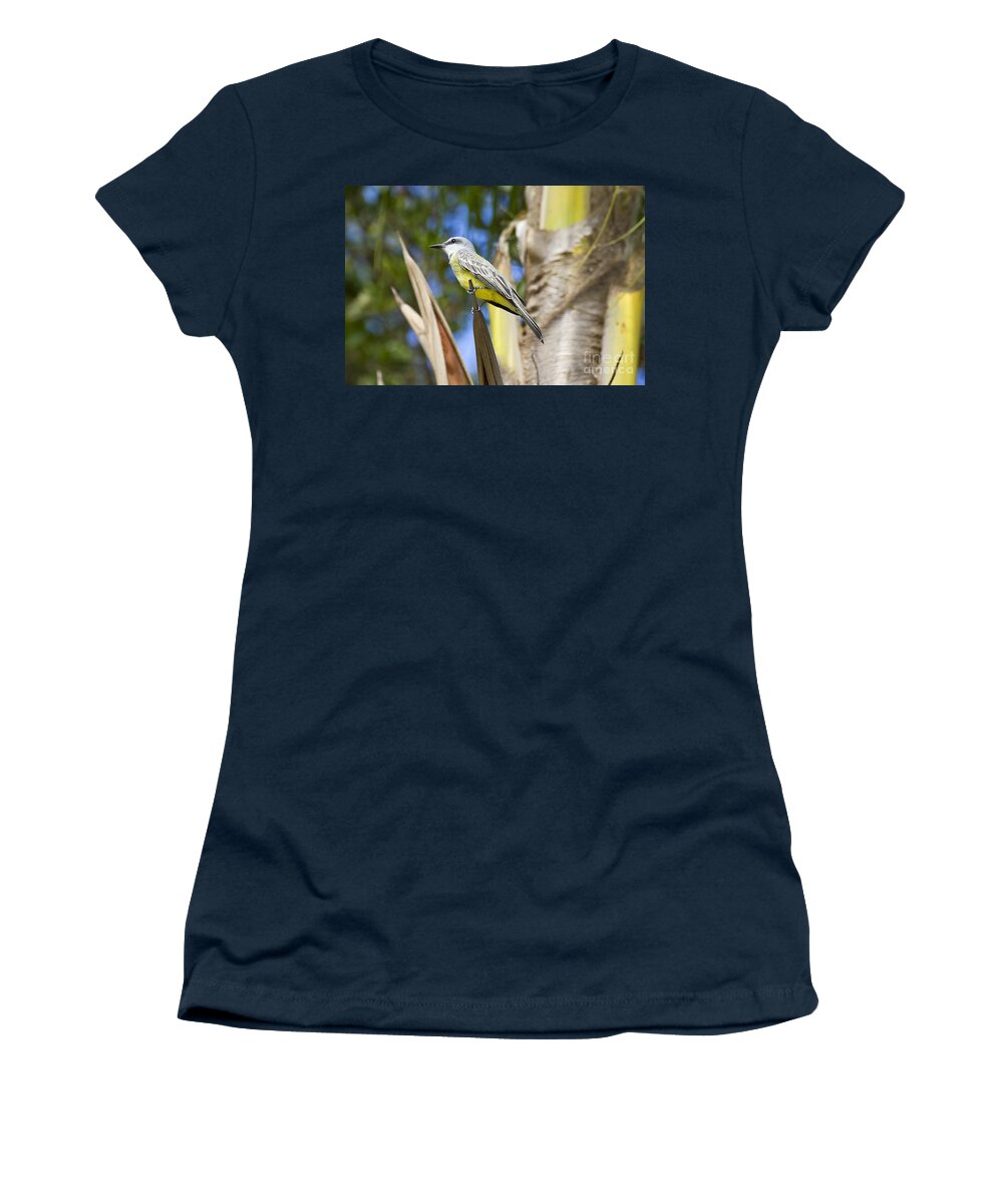 Bird Women's T-Shirt featuring the photograph Tropical Kingbird by Teresa Zieba