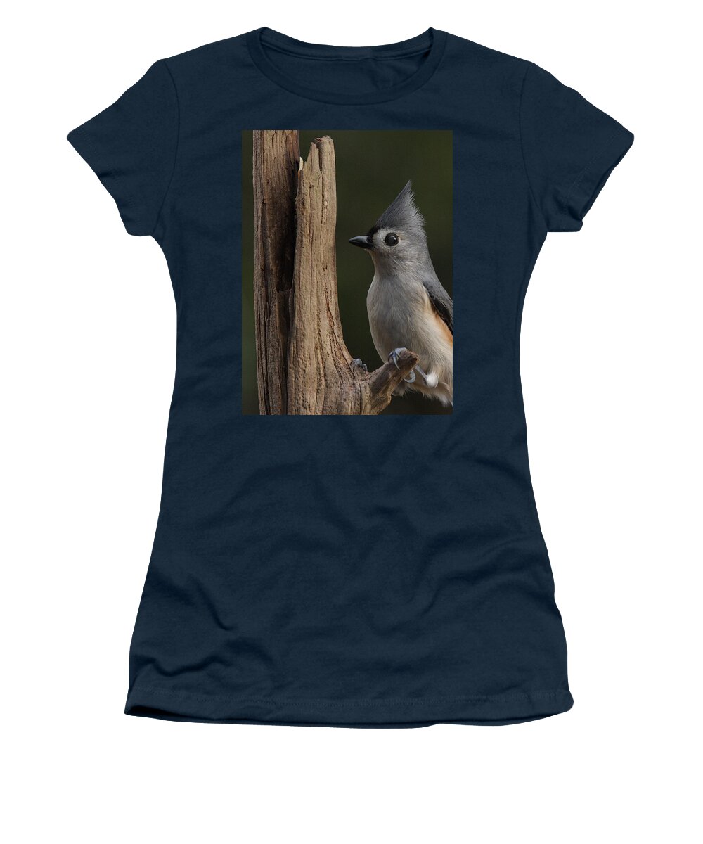 Tufted Titmouse On Dead Tree Women's T-Shirt featuring the photograph Tufted Titmouse On Cedar Snag by Daniel Reed