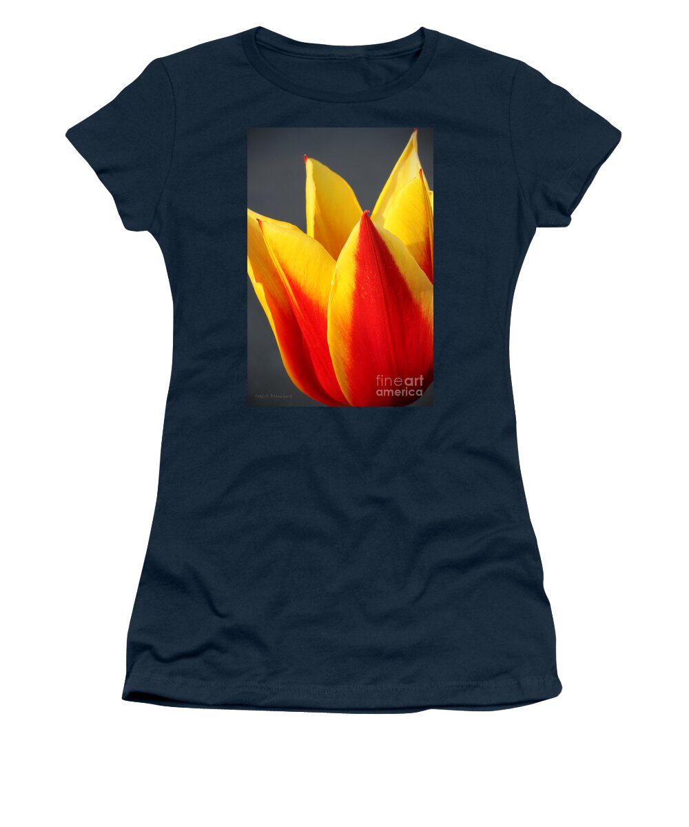 Macro Women's T-Shirt featuring the photograph Tulip by Todd Blanchard