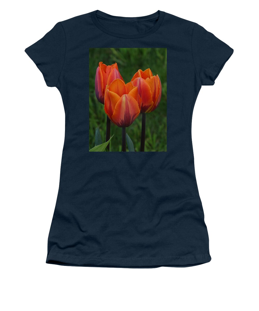Tulips Women's T-Shirt featuring the photograph Tulip Trio by David T Wilkinson