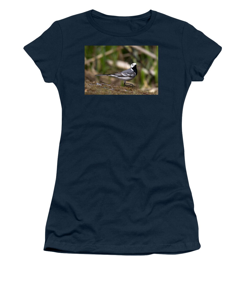 Wagtail's Step Women's T-Shirt featuring the photograph Wagtail's step by Torbjorn Swenelius
