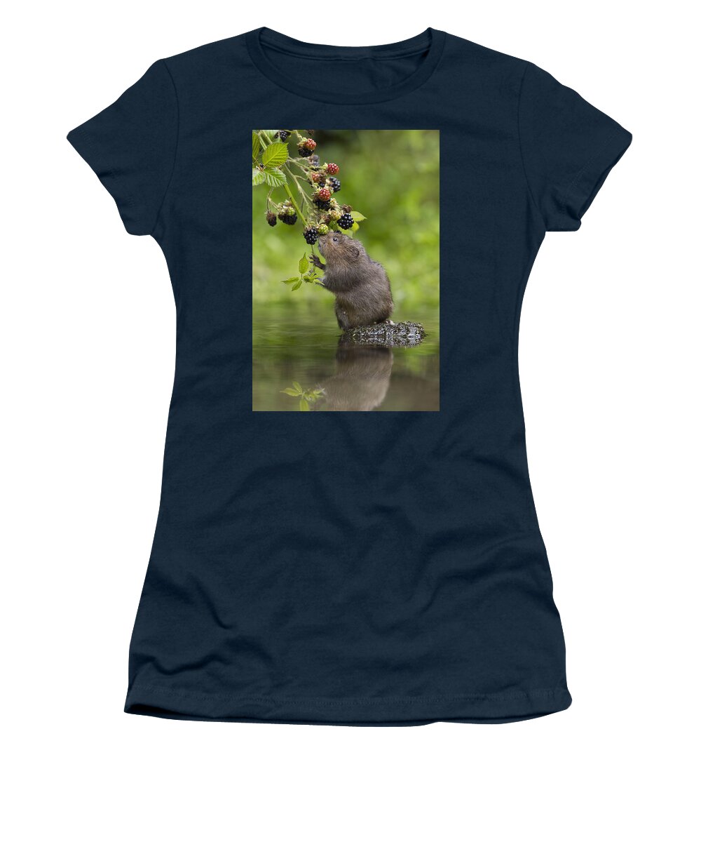 Nis Women's T-Shirt featuring the photograph Water Vole Eating Blackberries Kent Uk by Penny Dixie