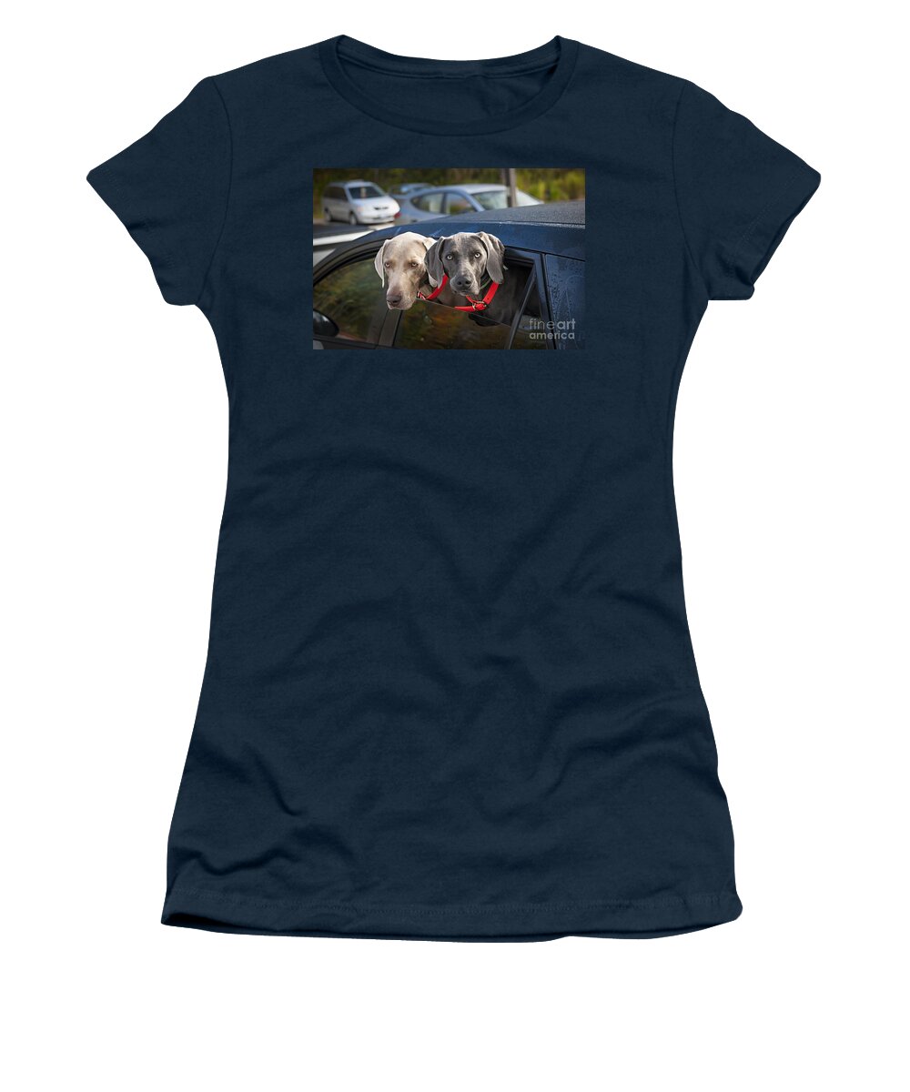 Dogs Women's T-Shirt featuring the photograph Weimaraner dogs in car by Elena Elisseeva
