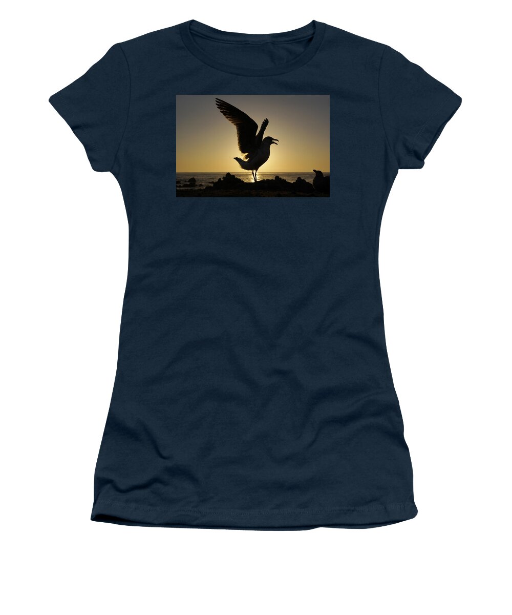 Feb0514 Women's T-Shirt featuring the photograph Western Gull Stretching At Sunset by Hiroya Minakuchi