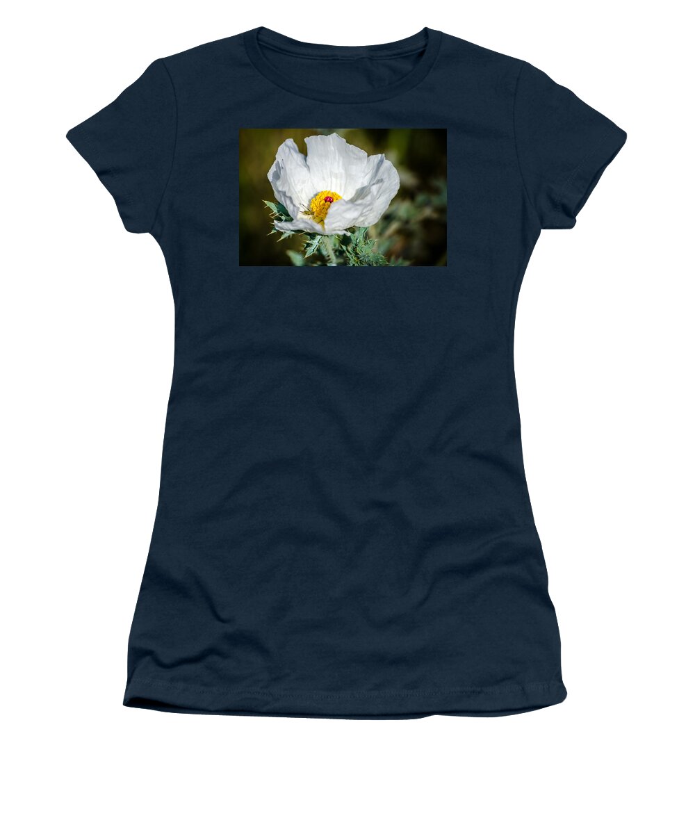 White Prickly Poppy Wildflower Women's T-Shirt featuring the photograph White Prickly Poppy Wildflower by Debra Martz