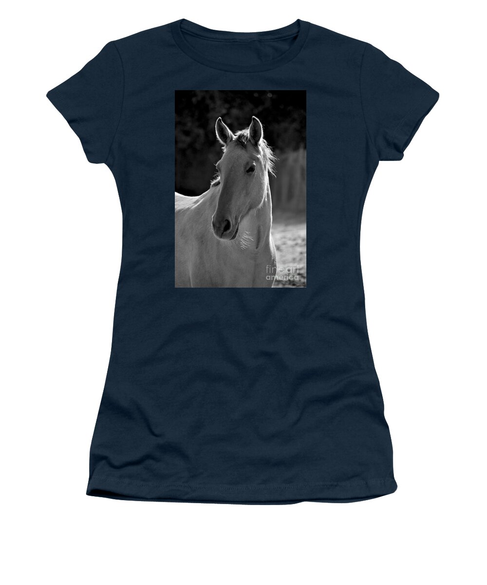 Rtf Ranch Women's T-Shirt featuring the photograph Wild Horse Portrait Black and White by Heather Kirk