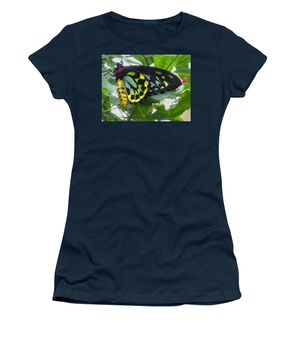 Butterfly Women's T-Shirt featuring the photograph Winged Jewels 2 by Nelson Strong