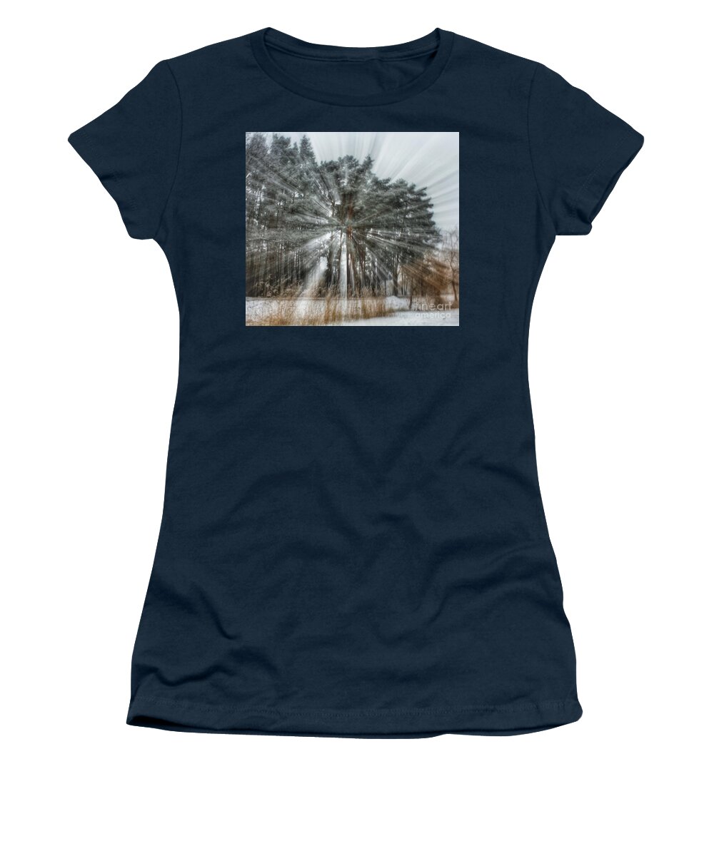 Tree Women's T-Shirt featuring the photograph Winter light in a forest by Iryna Liveoak