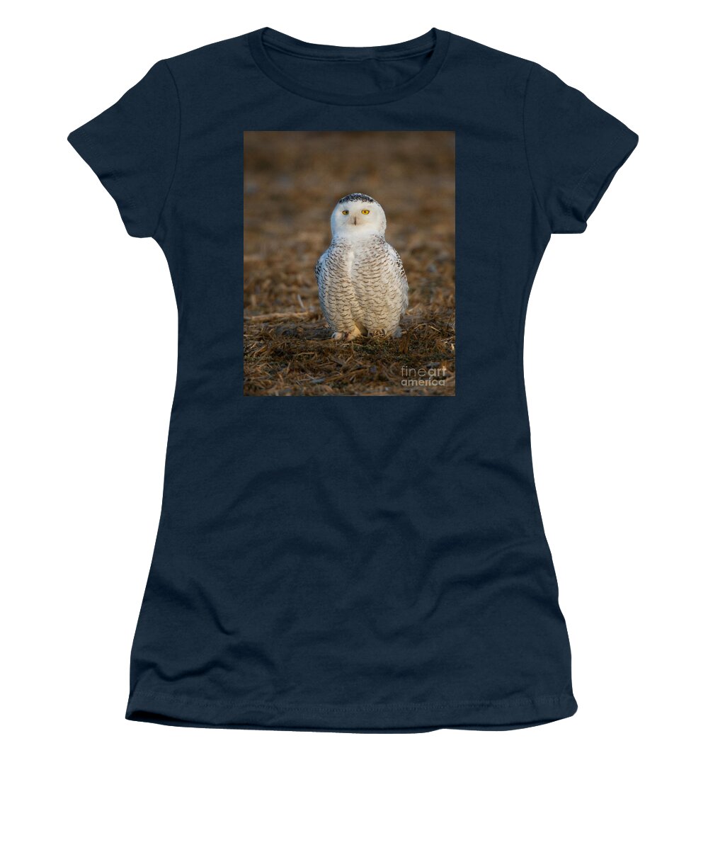 24-hour Daylight Women's T-Shirt featuring the photograph Young Snowy Owl by Ronald Lutz