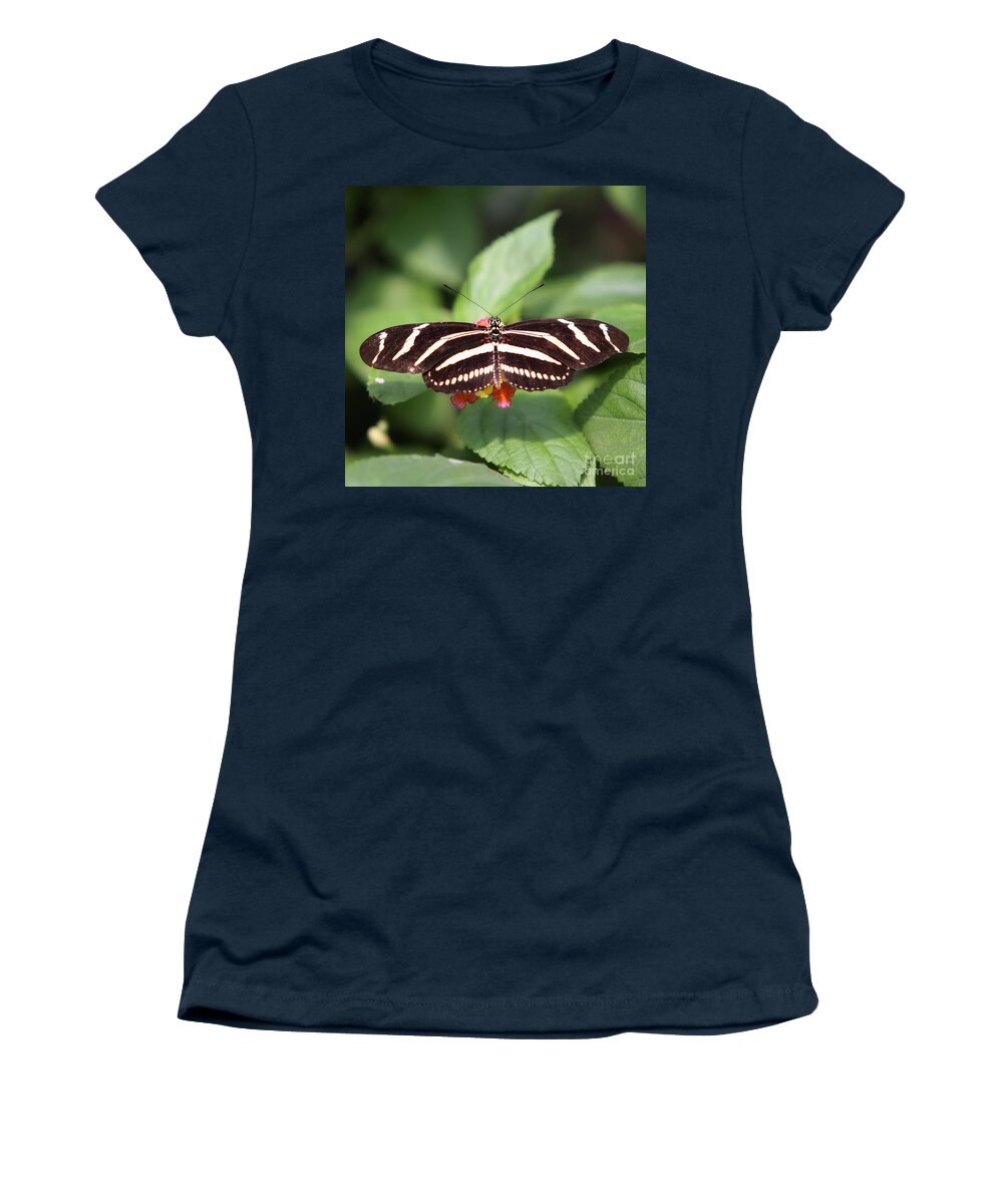 Bronx Zoo Women's T-Shirt featuring the photograph Zebra by Rick Kuperberg Sr