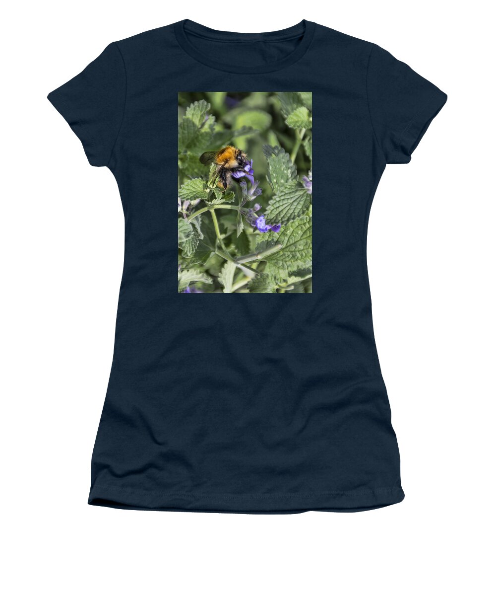 Bee Women's T-Shirt featuring the photograph Bee #1 by David Gleeson