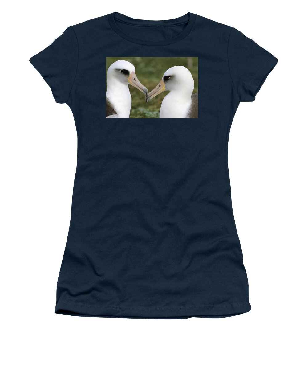 Mp Women's T-Shirt featuring the photograph Laysan Albatross Phoebastria #1 by Tui De Roy