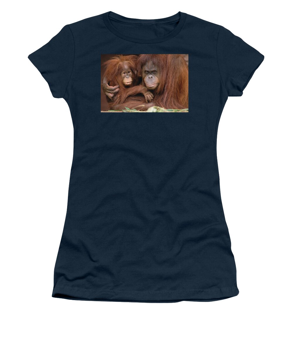 Mp Women's T-Shirt featuring the photograph Orangutan Pongo Pygmaeus Mother #1 by Gerry Ellis