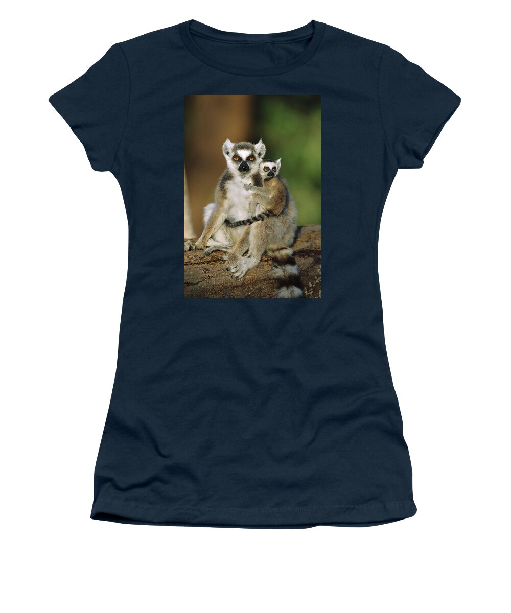 00620248 Women's T-Shirt featuring the photograph Ring-tailed Lemur Mother and Baby #3 by Cyril Ruoso