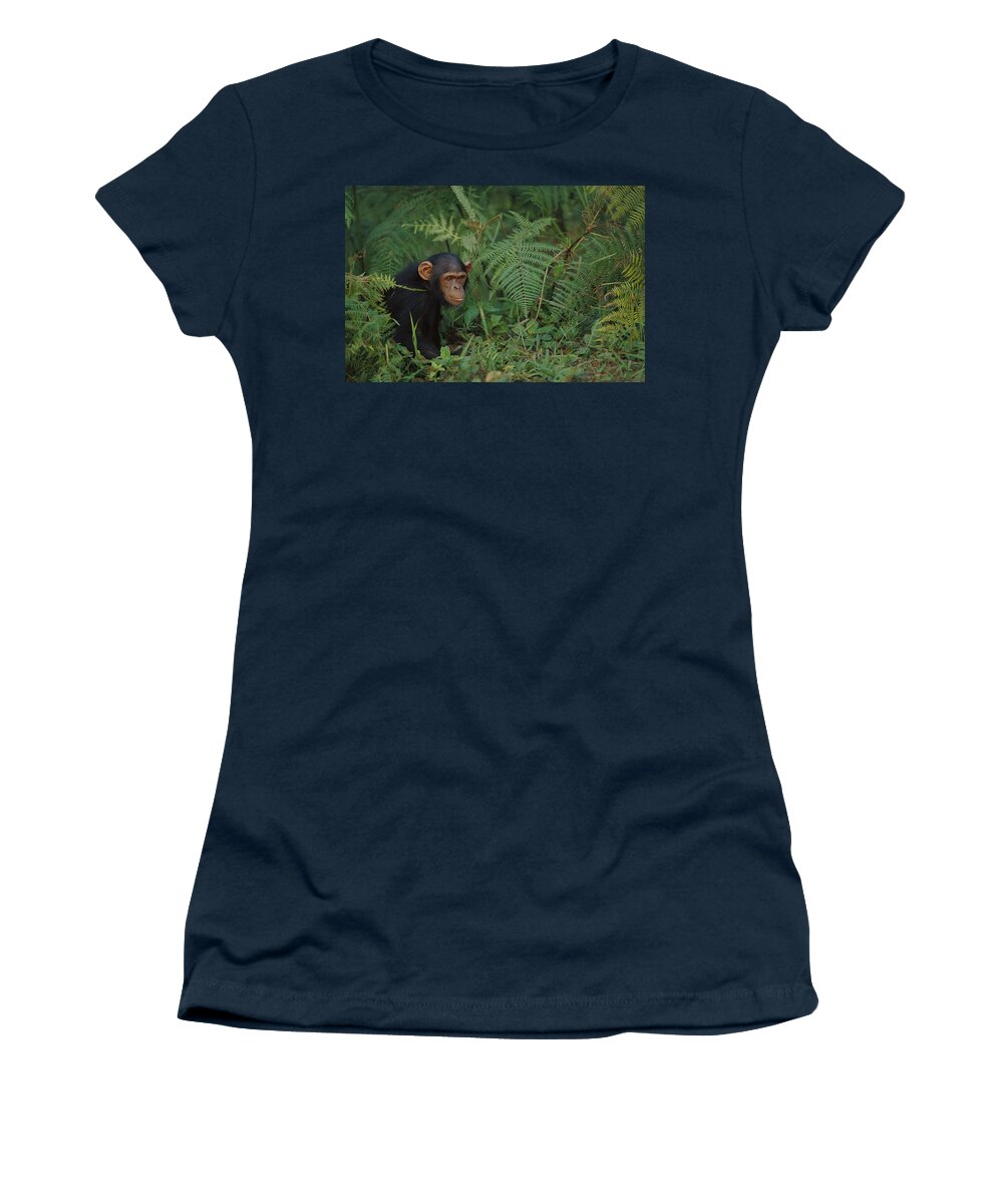 00620020 Women's T-Shirt featuring the photograph Chimpanzee on Forest Floor by Cyril Ruoso