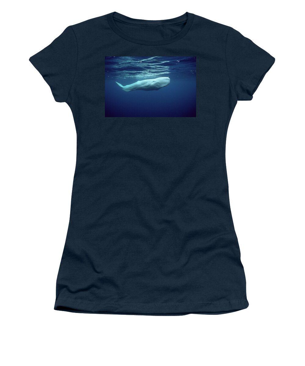 00270023 Women's T-Shirt featuring the photograph White Sperm Whale #2 by Hiroya Minakuchi