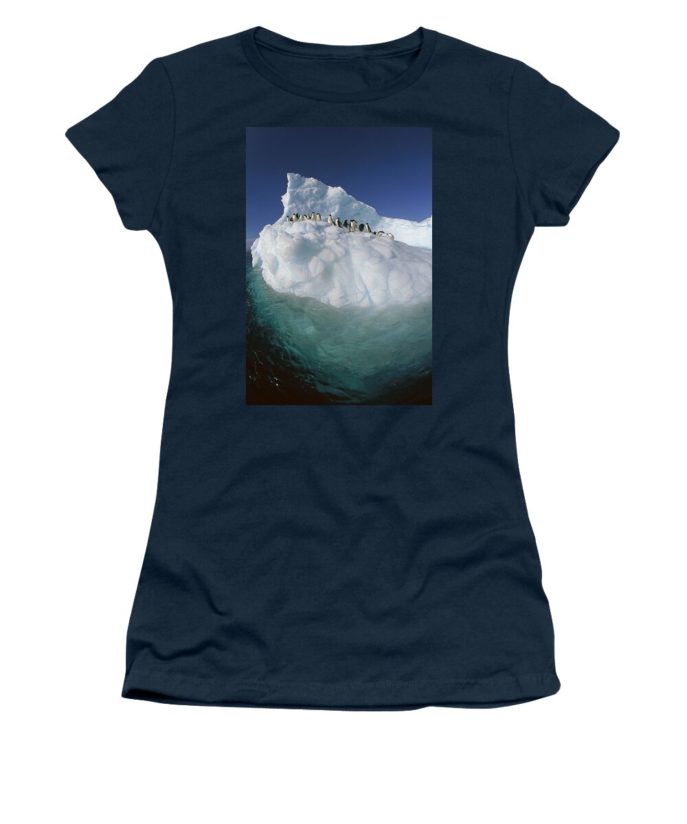 Hhh Women's T-Shirt featuring the photograph Adelie Penguin Pygoscelis Adeliae Group #4 by Colin Monteath