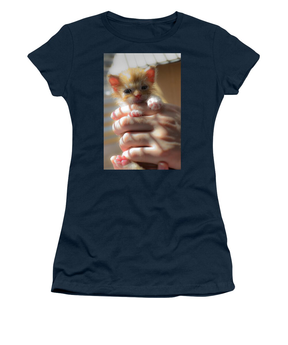 Animal Women's T-Shirt featuring the photograph Kitty #5 by Michael Goyberg