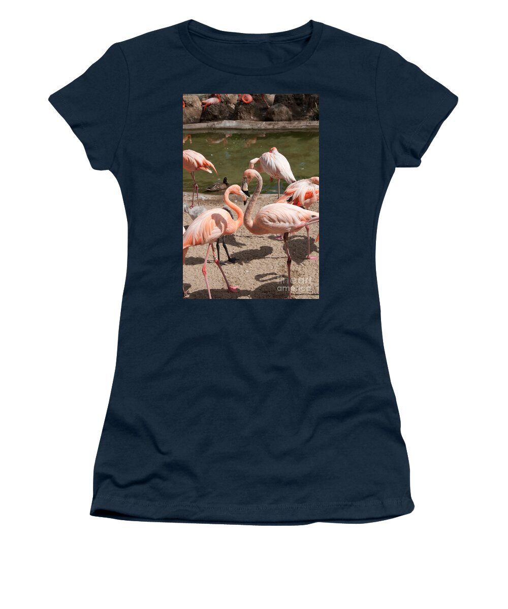 Animals Women's T-Shirt featuring the digital art Flamingos #6 by Carol Ailles