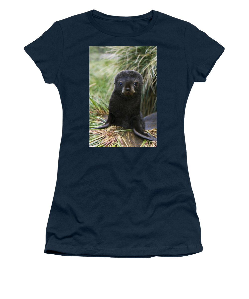 00761765 Women's T-Shirt featuring the photograph Antarctic Fur Seal Pup In Tussock Grass by Suzi Eszterhas