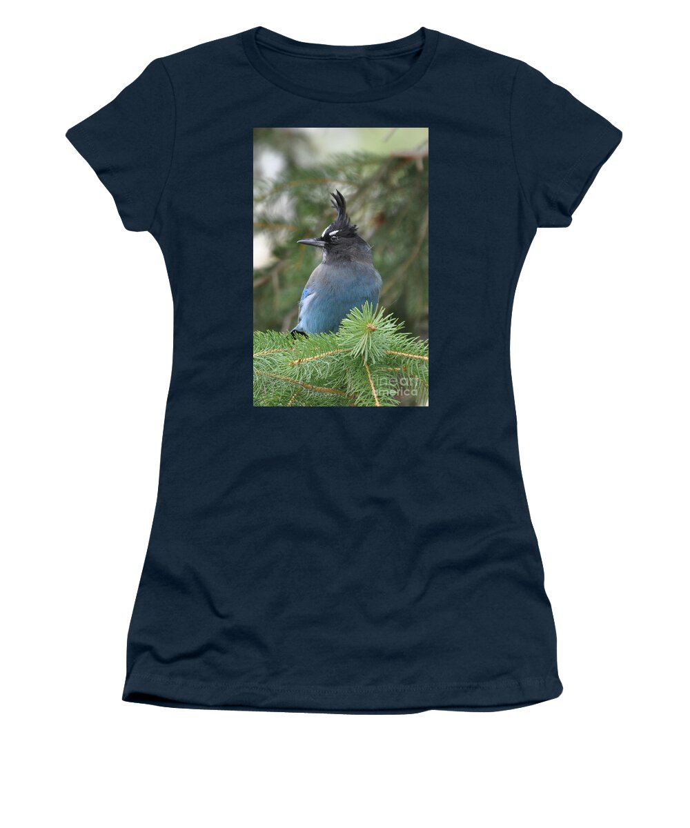 Birds Women's T-Shirt featuring the photograph Bad Hair Day by Dorrene BrownButterfield