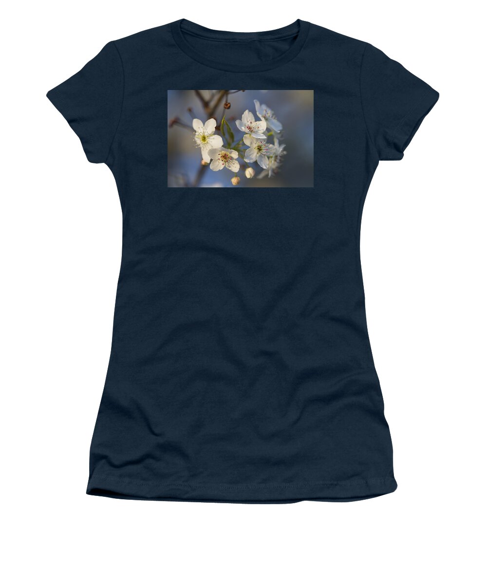Pyrus Calleryiana Women's T-Shirt featuring the photograph Bradford or Callery Spring Flowering Pear Tree -Pyrus calleryiana by Kathy Clark