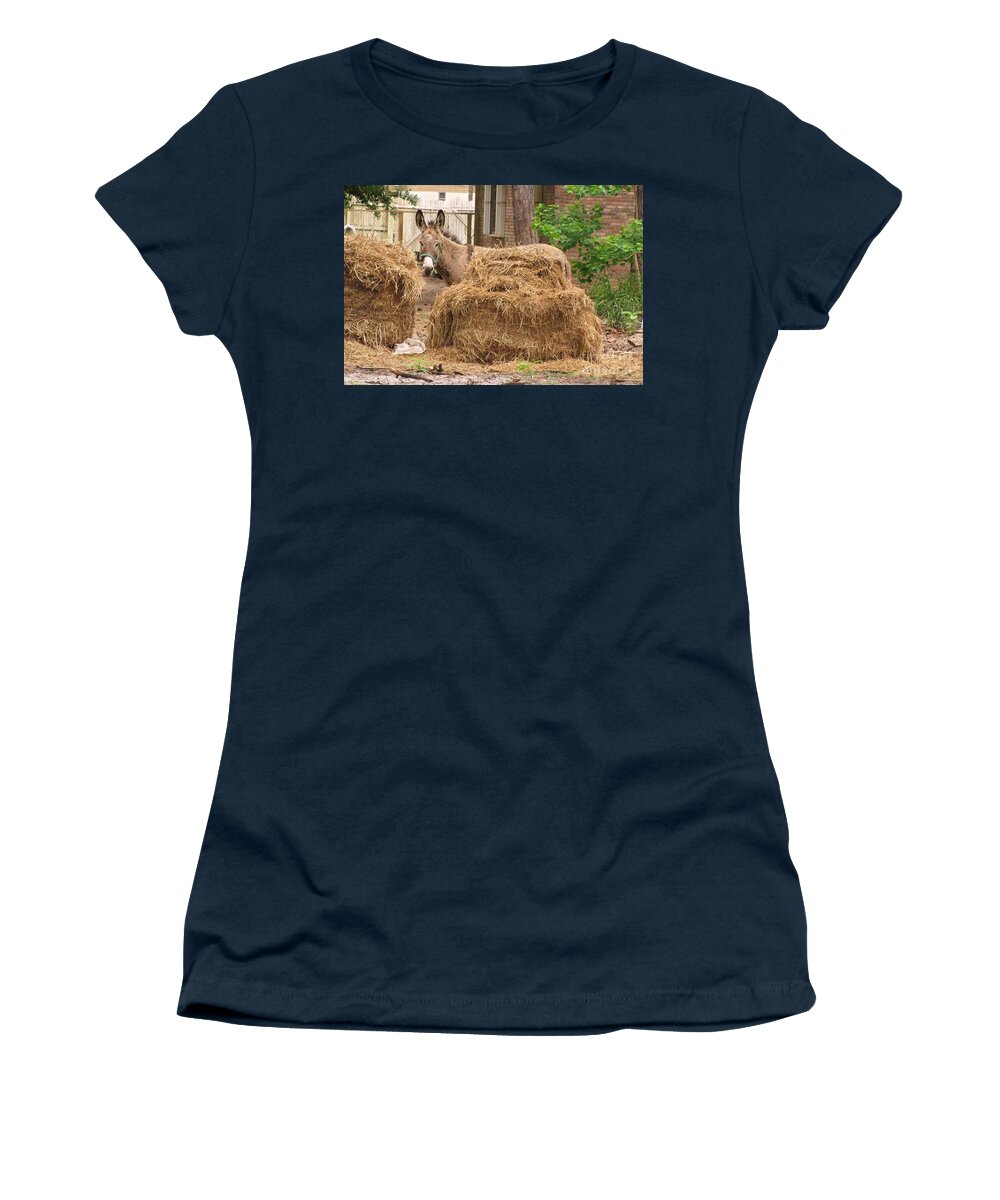 Mule Women's T-Shirt featuring the photograph Brown sugar hiding behind the hay by Michelle Powell