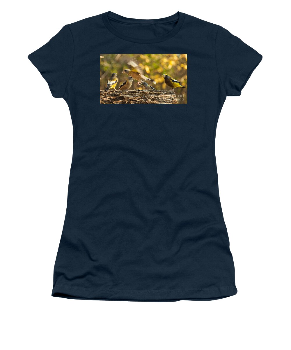 Grosbeak Women's T-Shirt featuring the photograph Busy Birds by Cheryl Baxter
