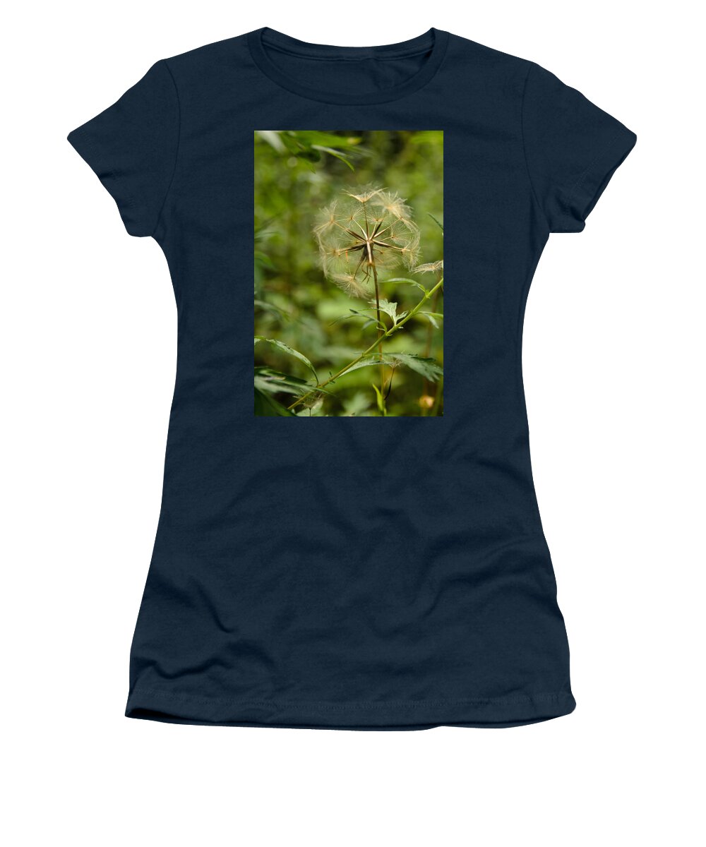 Blowball Women's T-Shirt featuring the photograph Dandelion by Michael Goyberg