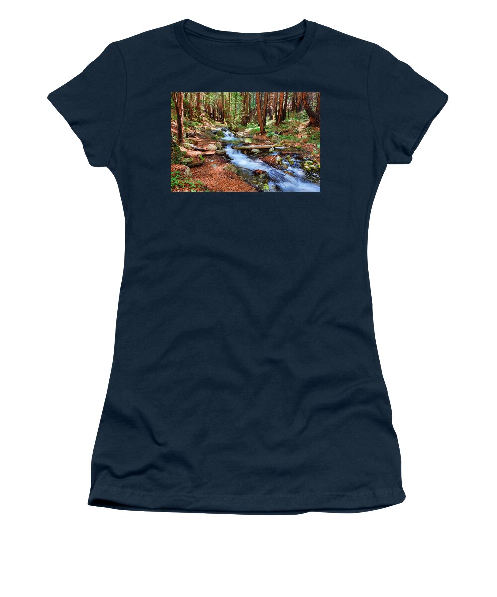 Stream Women's T-Shirt featuring the photograph Enchanted Forest by Beth Sargent