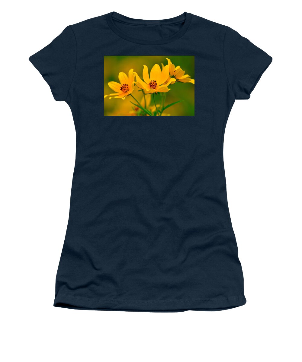 Flowers Women's T-Shirt featuring the photograph Falls Glory by Marty Koch