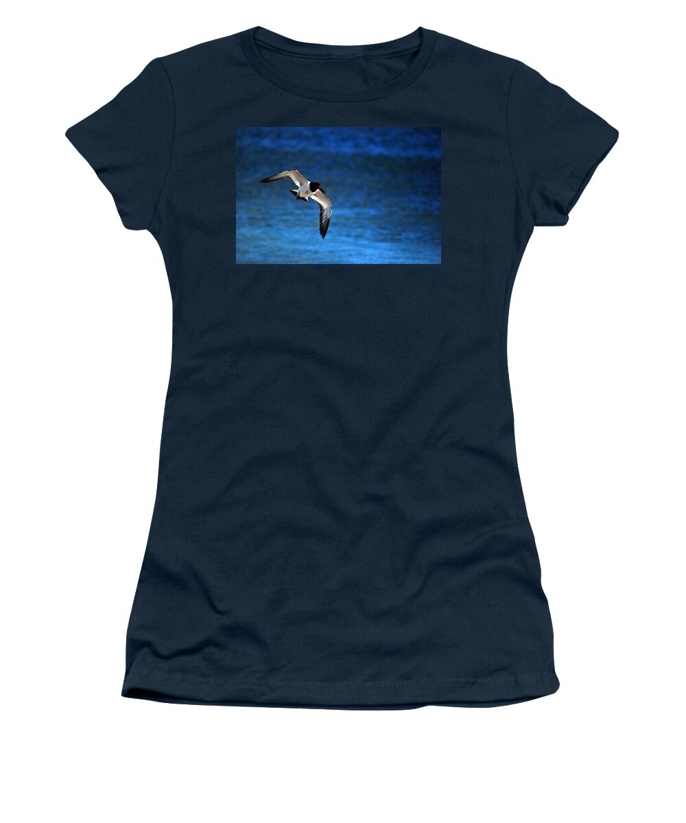 Oystercatcher Women's T-Shirt featuring the photograph Flight of the Oystercatcher by Lori Tambakis