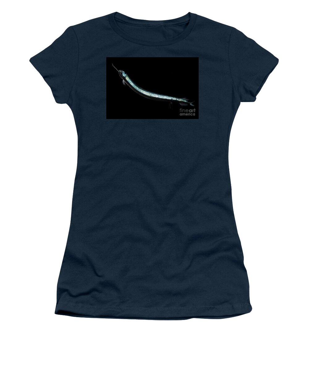 Gnther's Boafish Women's T-Shirt featuring the photograph Gnthers Boafish by Dant Fenolio