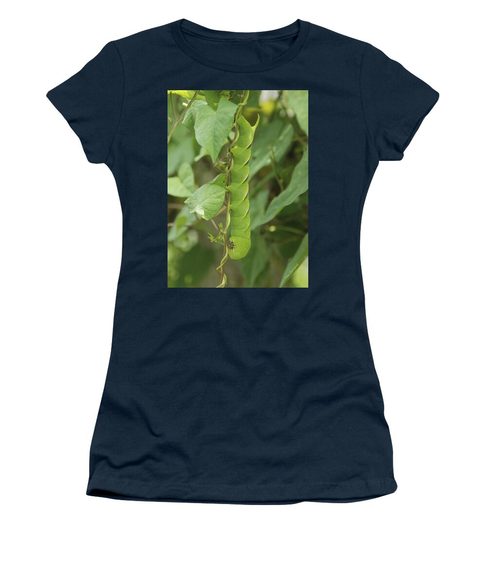 Tomato Hornworm Women's T-Shirt featuring the photograph Hangin' Around by Kay Lovingood