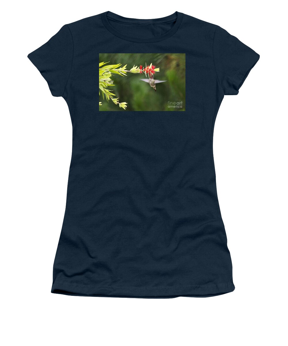 Hummingbird Women's T-Shirt featuring the photograph Hummingbird and Bottlebrush by Jim And Emily Bush